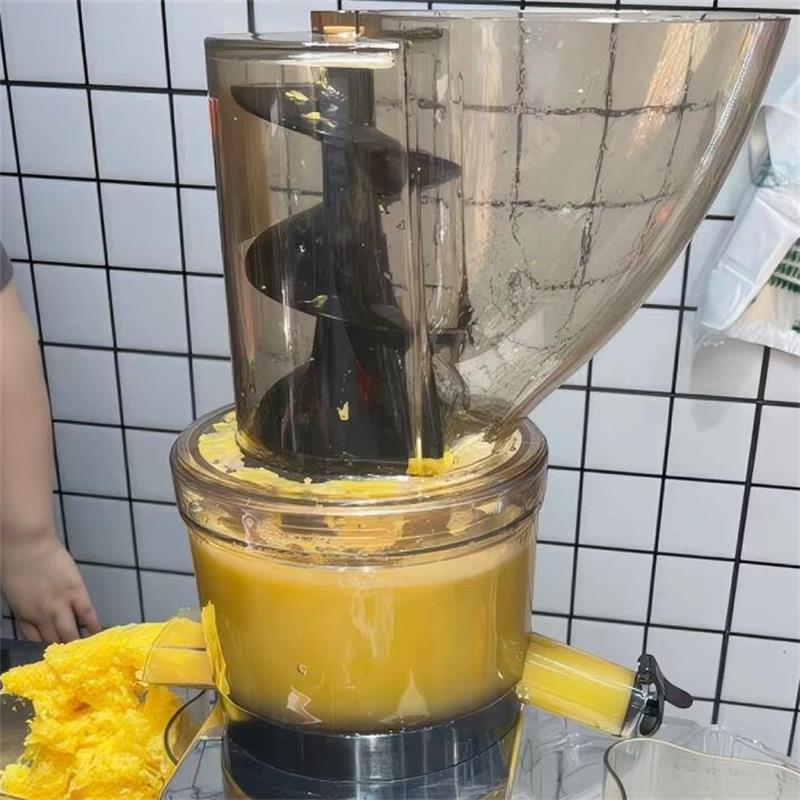 Cold Press Juicer - 500W Commerciële Hoge Productiviteit Grote Opening