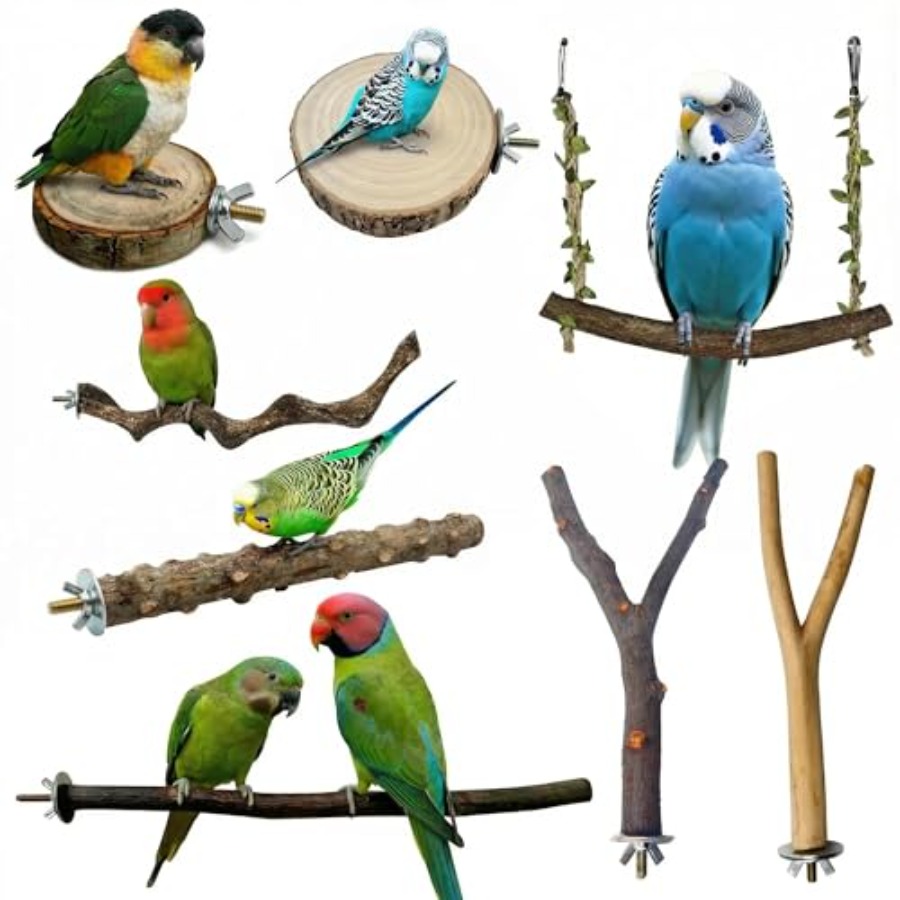 Health & Wellness Therapy Center - 8 stuks natuurlijke houten vogelzitstokken voor