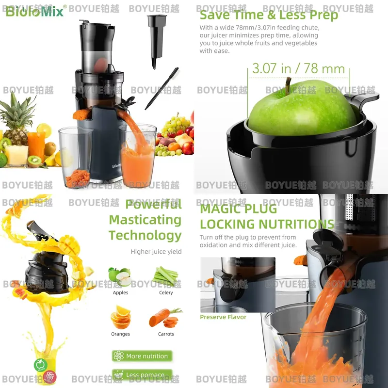 BioloMix Koudpers Sapcentrifug - Cold Press Juicer recensie en prijs