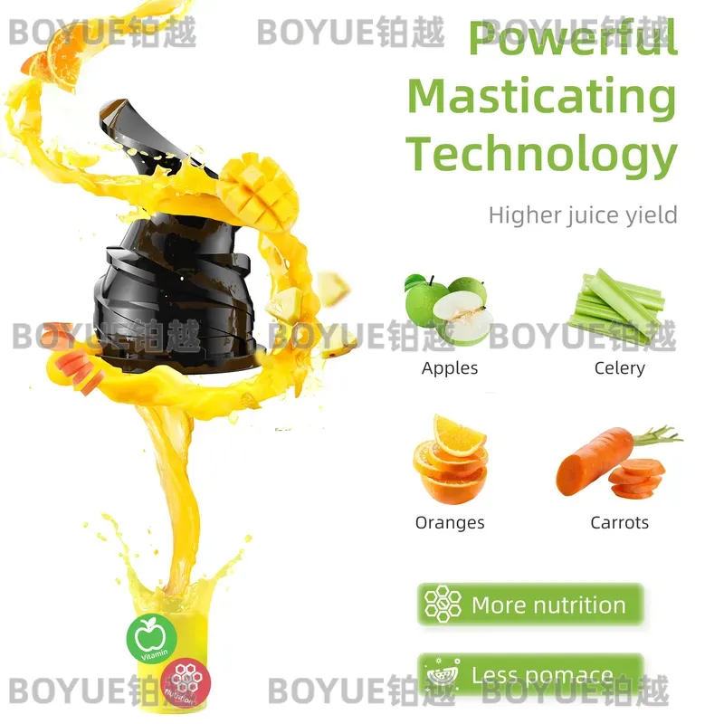 BioloMix Koudpers Sapcentrifug - Cold Press Juicer recensie en prijs