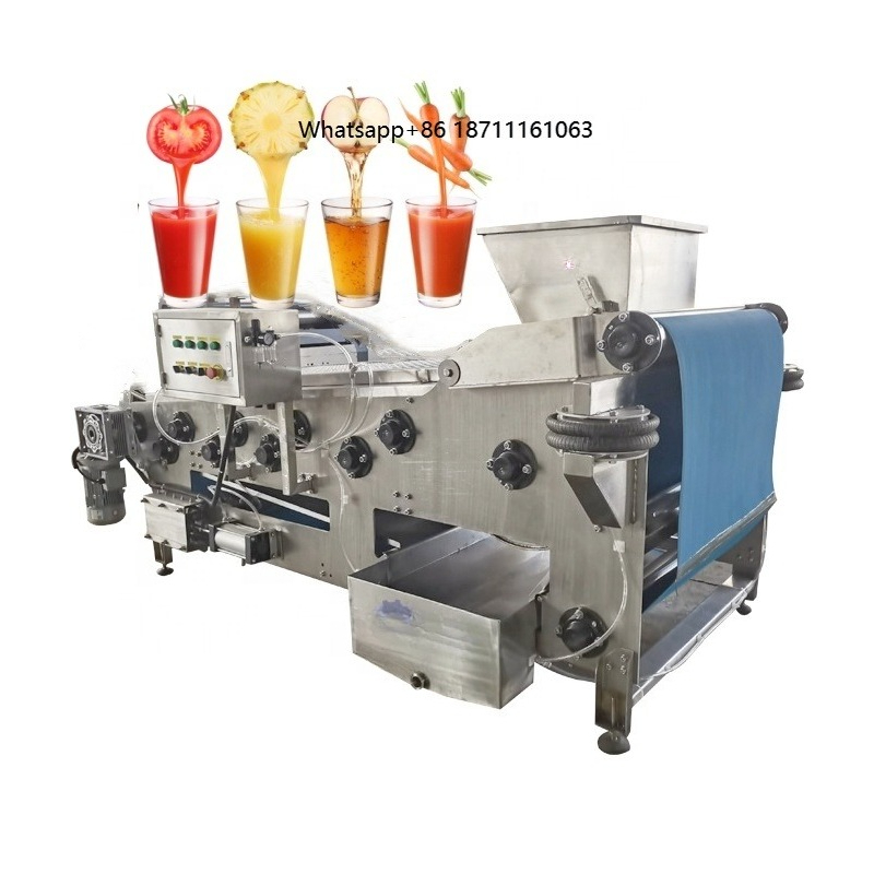 Industriële fruitkoudpers, ban - Cold Press Juicer recensie en prijs