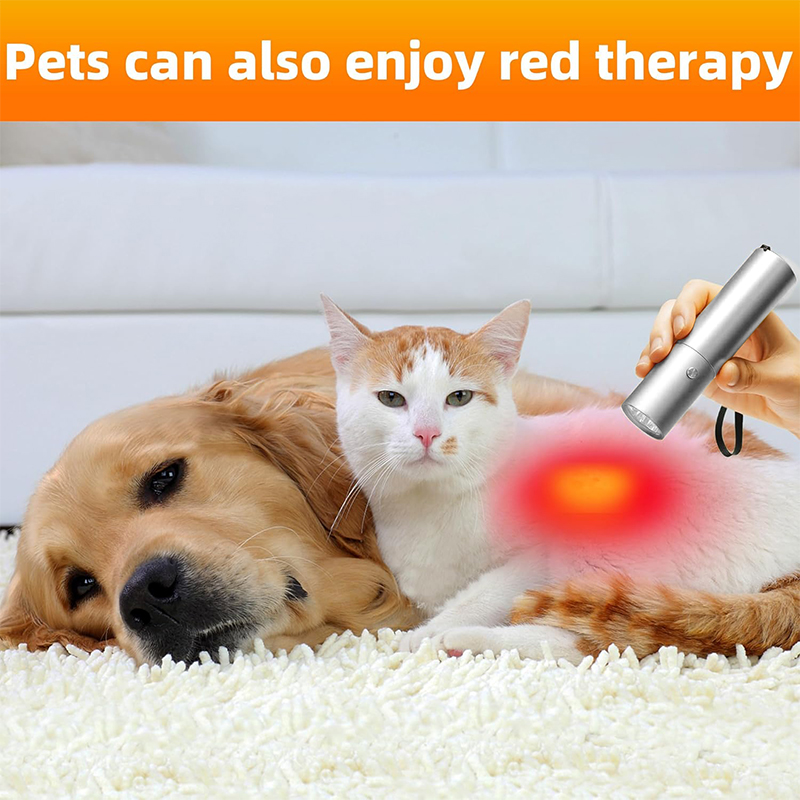 Blauw Rood Licht Therapie Appa - Acne Light Therapy Pen recensie en prijs