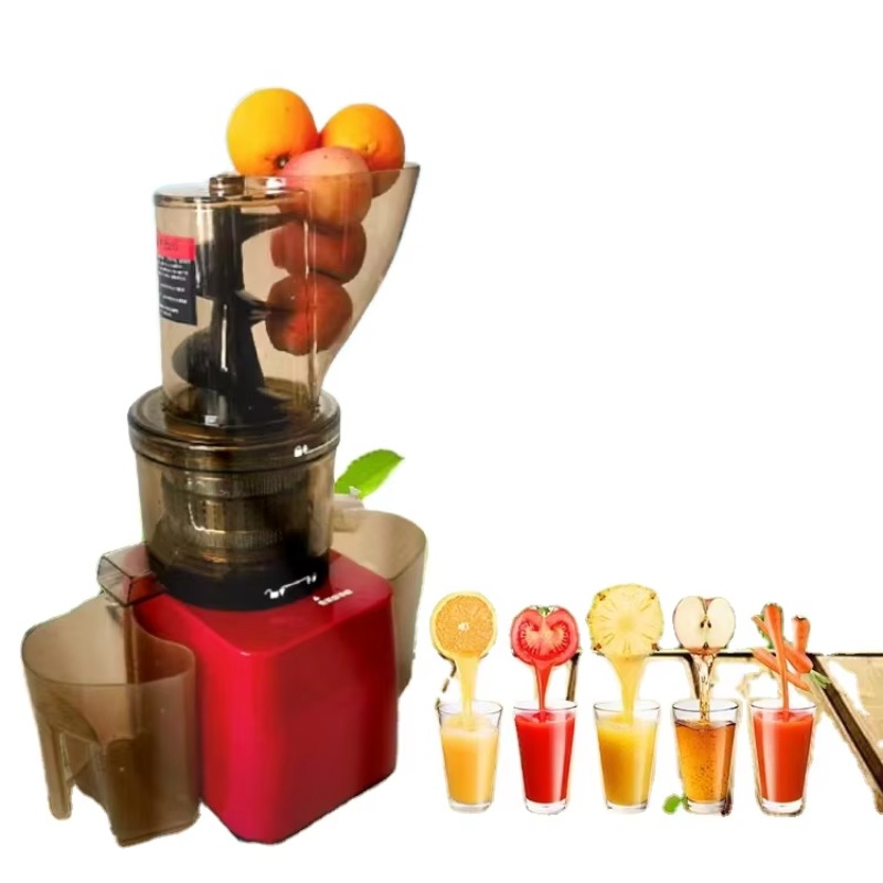 Roestvrijstalen Fruit Groente  - Cold Press Juicer recensie en prijs