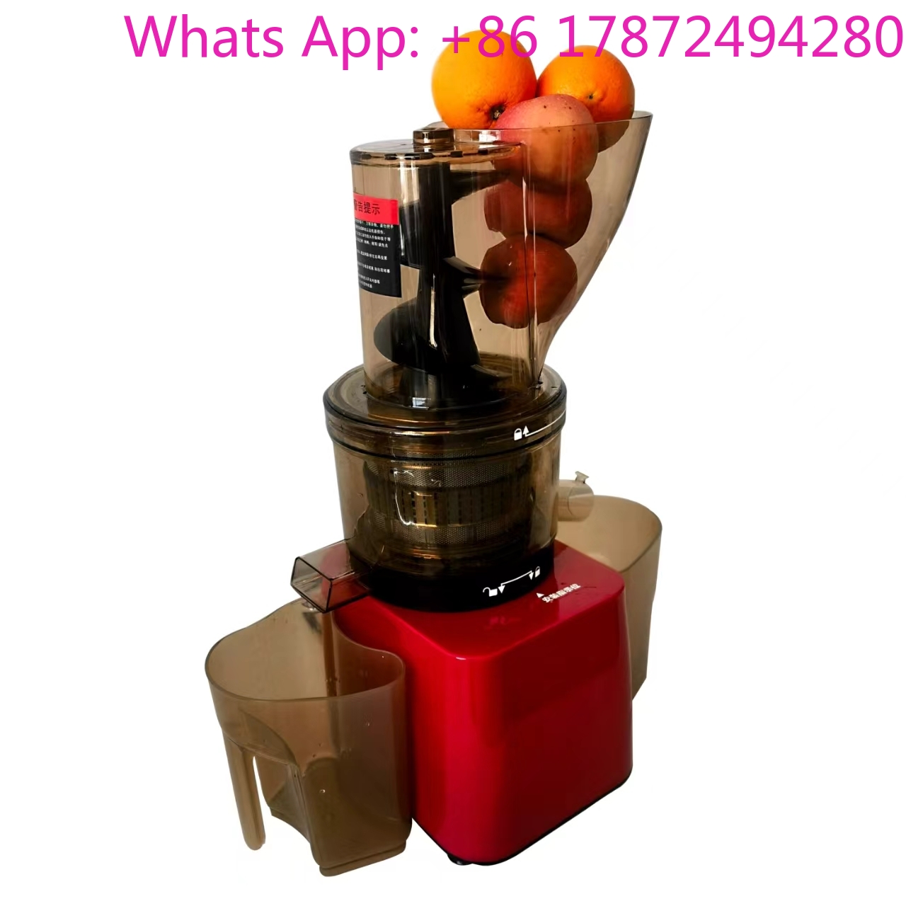 RVS machine voor fruit en groe - Cold Press Juicer recensie en prijs