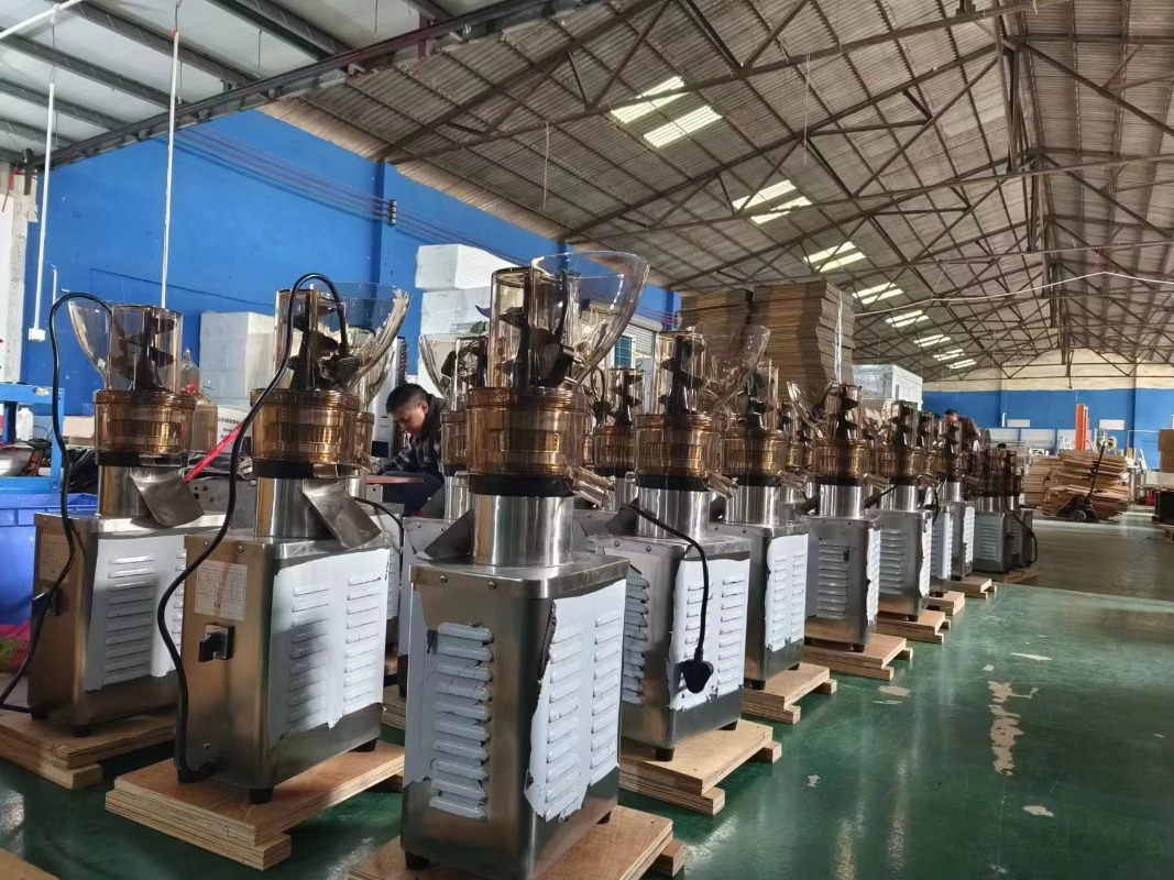 Chinese industriële sapcentrif - Cold Press Juicer recensie en prijs