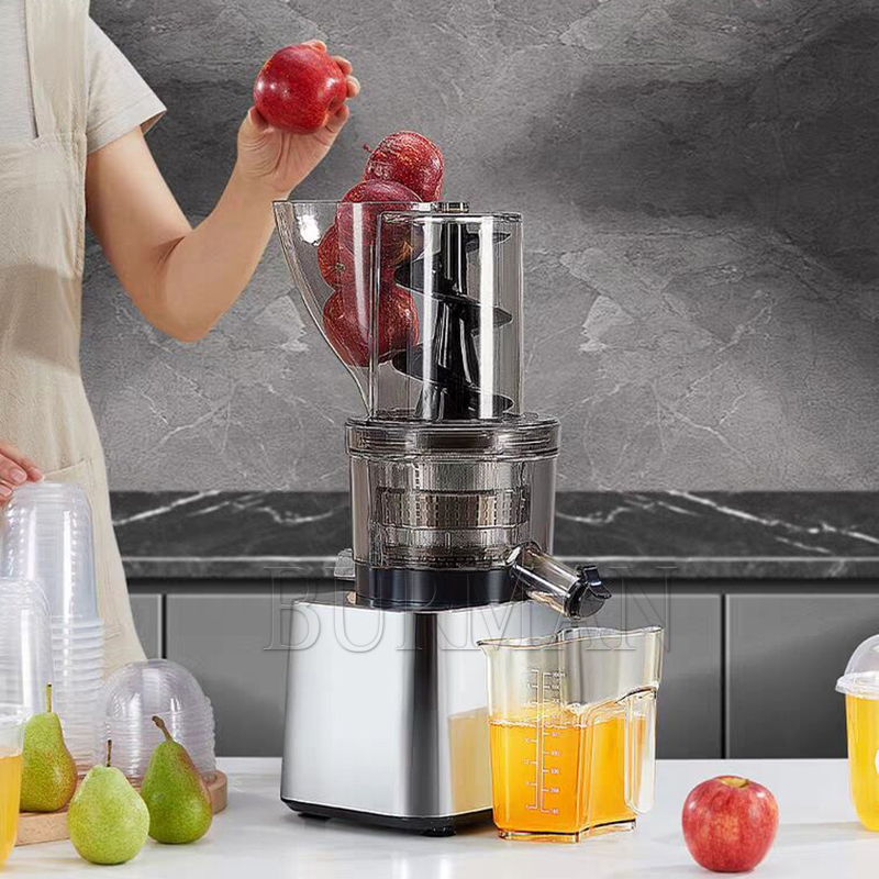 500W Commerciële Hoge Producti - Cold Press Juicer recensie en prijs