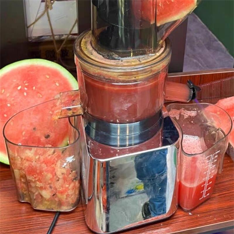 500W Commerciële en huishoudel - Cold Press Juicer recensie en prijs